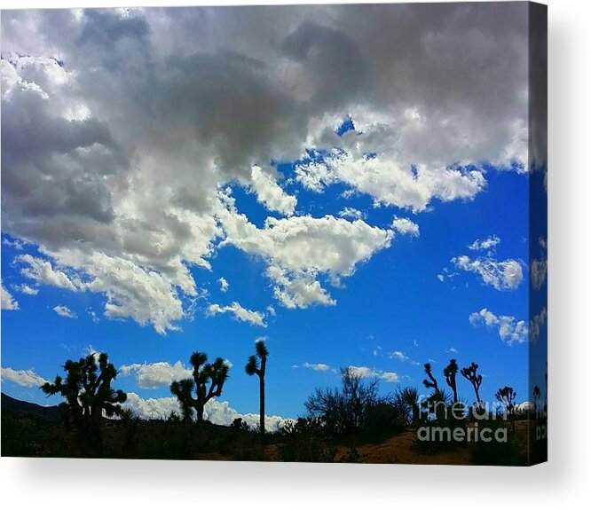 White Clouds Acrylic Print featuring the photograph Silhouettes by Angela J Wright