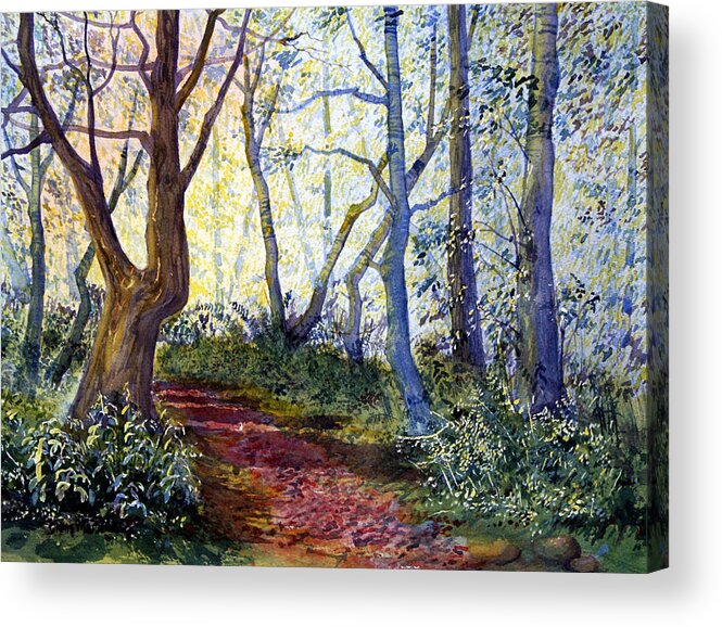 Watercolour Acrylic Print featuring the painting Silpho Forest by Glenn Marshall
