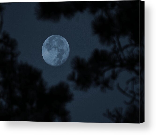 Silver Moon Acrylic Print featuring the photograph Silver Cast of Harvest Moon by Jeremy McKay