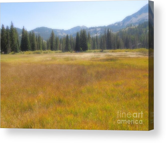 Silver Lake Acrylic Print featuring the photograph Silver Lake Area Big Cottonwood Canyon Utah by Richard W Linford