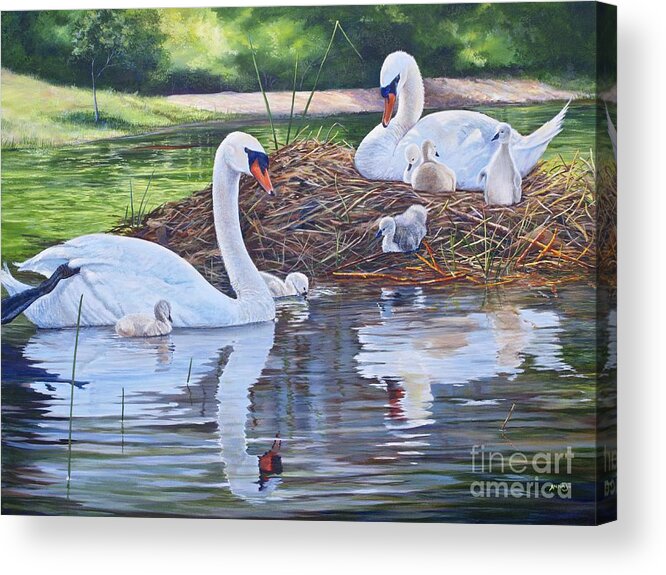 Parents Acrylic Print featuring the painting Six Cygnets by AnnaJo Vahle
