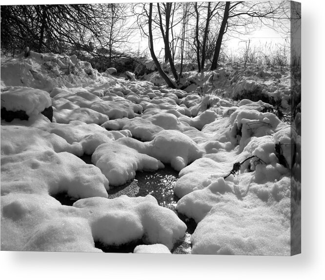 Landscape Acrylic Print featuring the photograph Snow Capped Stream by Tom DiFrancesca