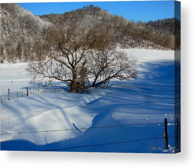 Winter Acrylic Print featuring the photograph Snow Creek by Wild Thing