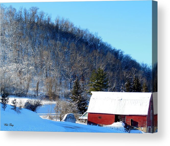 Winter Acrylic Print featuring the photograph Snow Morning by Wild Thing