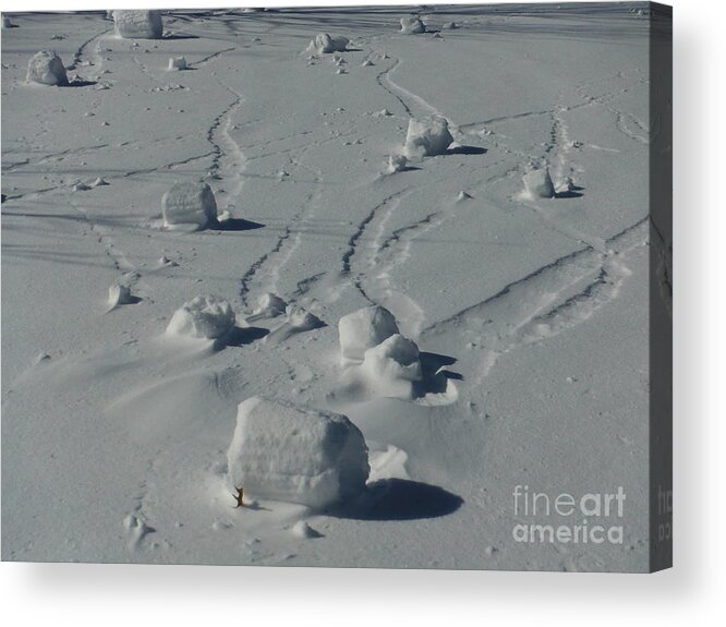 Snow Rollers Acrylic Print featuring the photograph Snow Rollers 3 by Paddy Shaffer