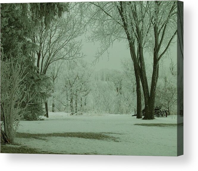 Sepia Landscape Acrylic Print featuring the photograph Snowy Winter Frost by Mary Wolf