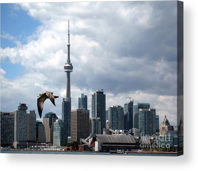 Toronto Acrylic Print featuring the photograph Soaring Over the Harbour by Nina Silver