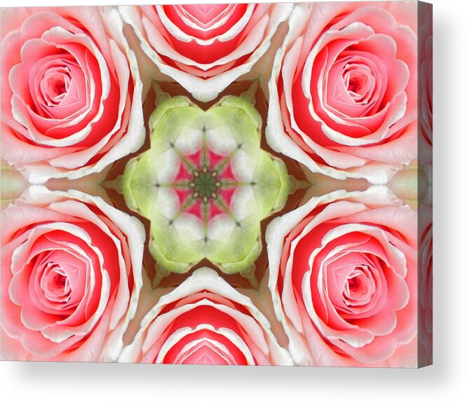 Mandalas Acrylic Print featuring the digital art Soft Pink Rose Mandala by Diane Lynn Hix
