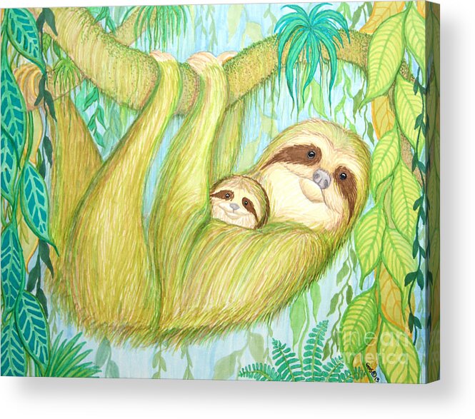Sloth Acrylic Print featuring the drawing Soggy Mossy Sloth by Nick Gustafson