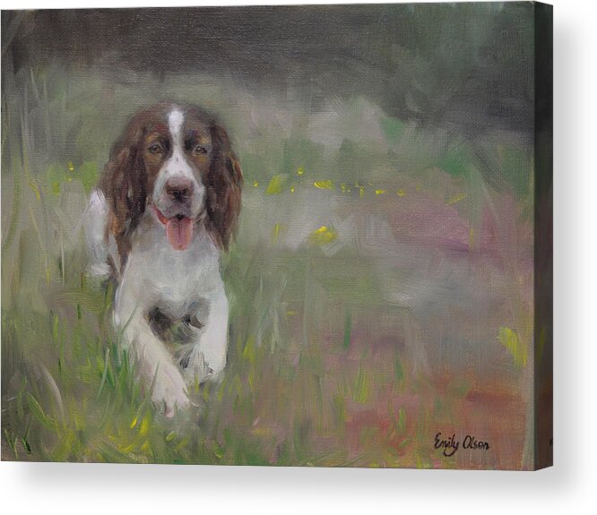 English Springer Spaniel Acrylic Print featuring the painting Spaniel At Rest by Emily Olson