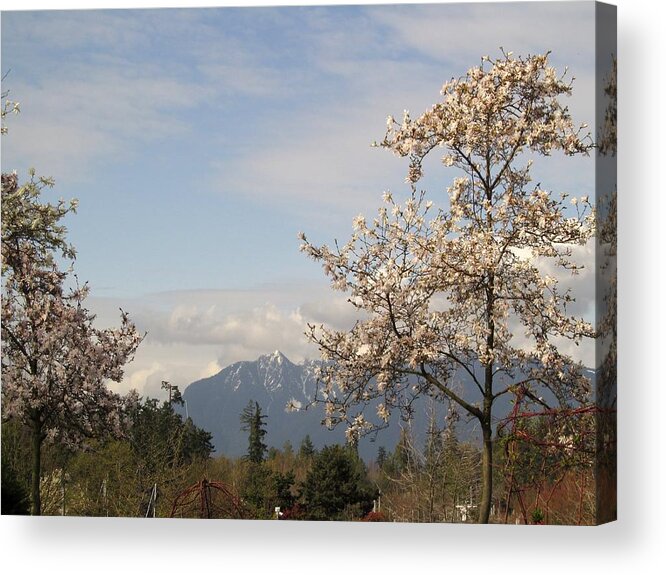 Spring Magnolia Acrylic Print featuring the photograph Spring Magnolia With Mountain by Alfred Ng