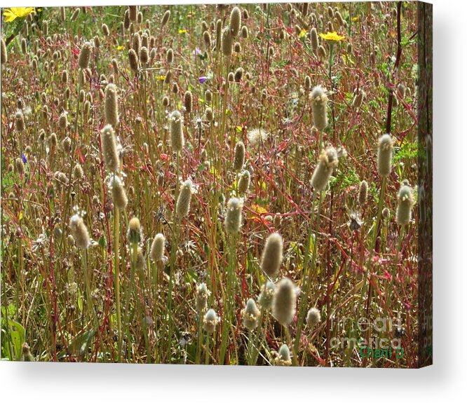 Spring Acrylic Print featuring the photograph Spring meadow by Chani Demuijlder