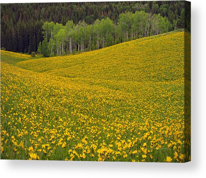 Idaho Scenic Acrylic Print featuring the photograph Spring Meadow by Leland D Howard