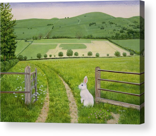 Fence Acrylic Print featuring the painting Spring Rabbit by Ditz