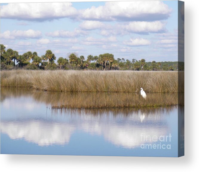 Tranquil Acrylic Print featuring the pyrography St. Marks Refuge by Audrey Peaty
