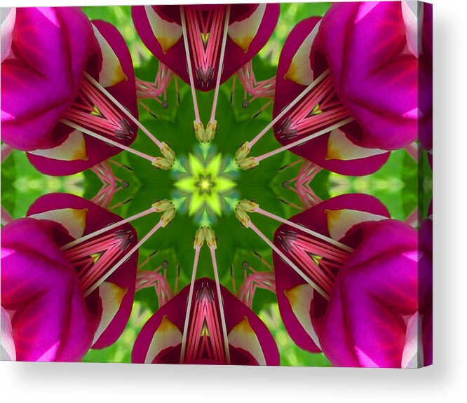 Mandalas Acrylic Print featuring the digital art Star Fuchsia 1 Mandala by Diane Lynn Hix
