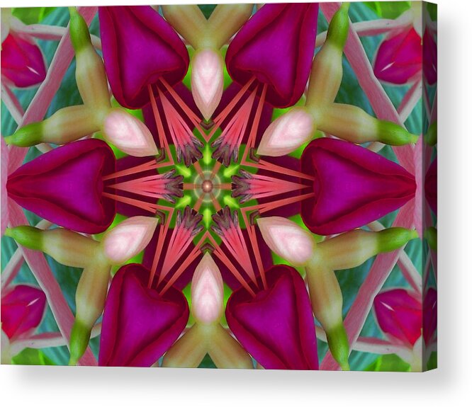 Mandalas Acrylic Print featuring the digital art Star Fuchsia 2 Mandala by Diane Lynn Hix