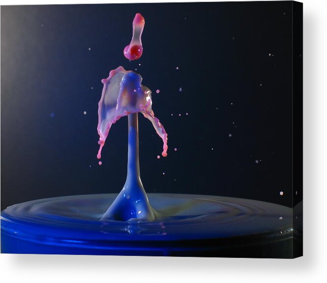 Water Drops Acrylic Print featuring the photograph Strange Love by Kevin Desrosiers