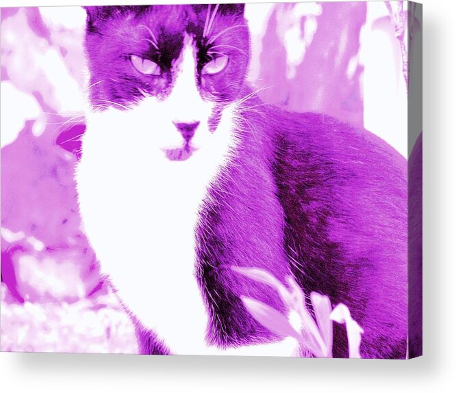Strike Acrylic Print featuring the photograph Strike Violet by Anita Dale Livaditis