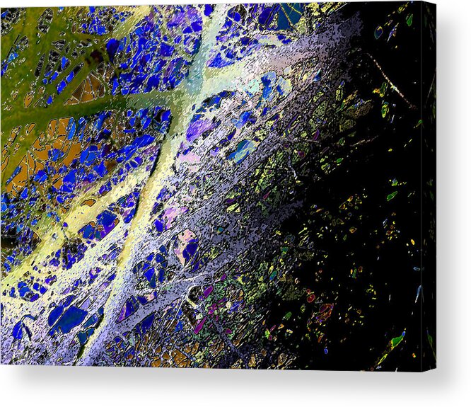 Tree Acrylic Print featuring the digital art Study Of Dark Day by Eric Forster
