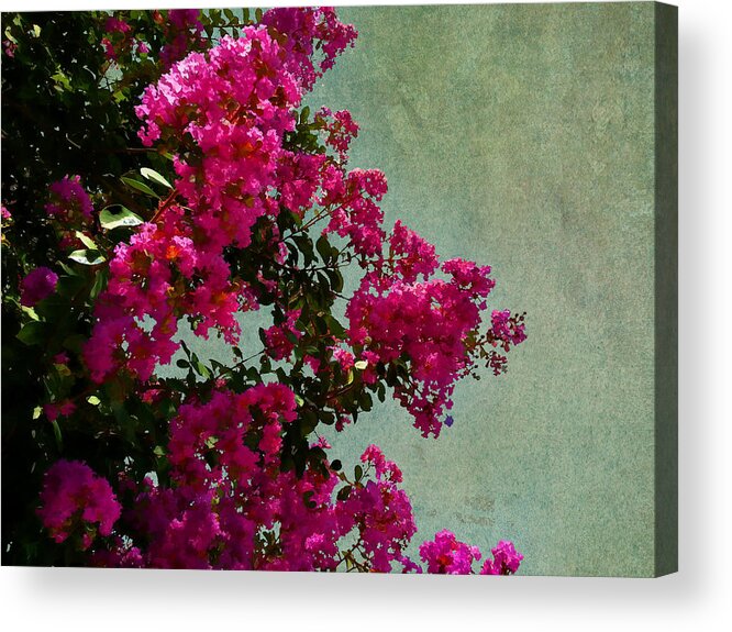 Nature Acrylic Print featuring the photograph Summer Crape Myrtles by Paulette B Wright