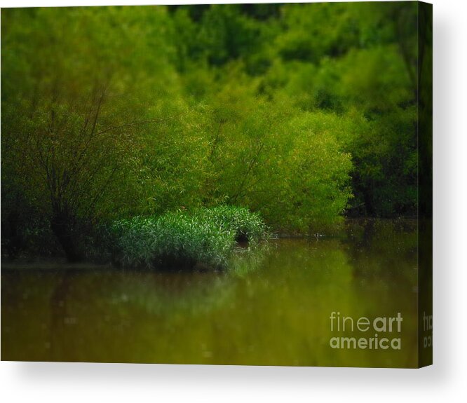 Summers Green Glow Acrylic Print featuring the photograph Summers Green Glow by Paddy Shaffer