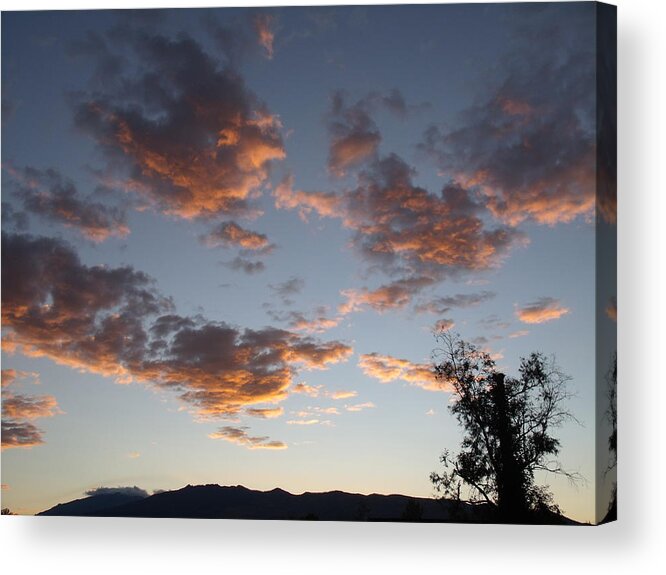 Arizona Acrylic Print featuring the photograph Sun Clouds by David S Reynolds