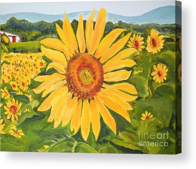 Sunflower Acrylic Print featuring the painting Sunflower - Burst of color by Jan Dappen