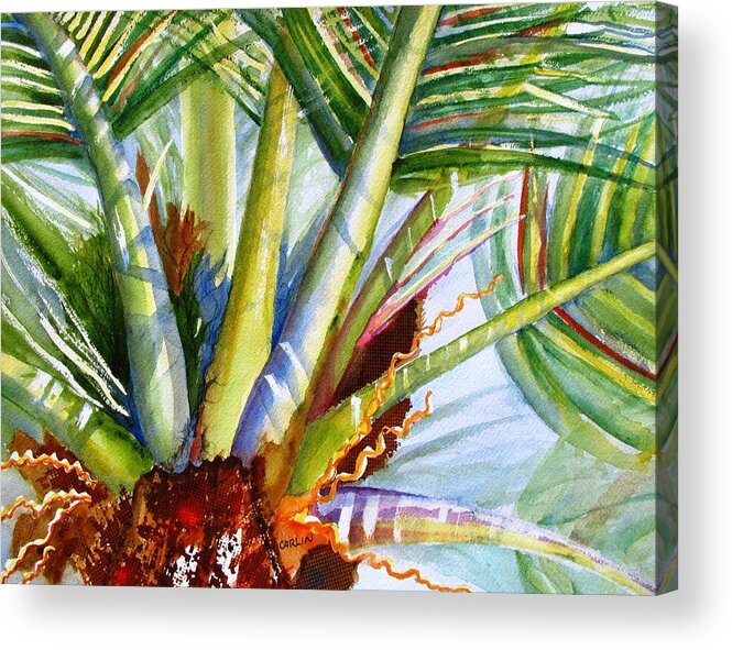 Palm Acrylic Print featuring the painting Sunlit Palm Fronds by Carlin Blahnik CarlinArtWatercolor