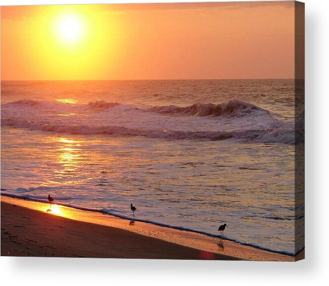 Beach Acrylic Print featuring the photograph Sunrise at Ocean Isle by Kelly Nowak
