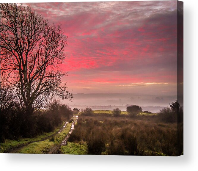 Ireland Acrylic Print featuring the photograph Sunrise over Decomade Pasture in County Clare by James Truett