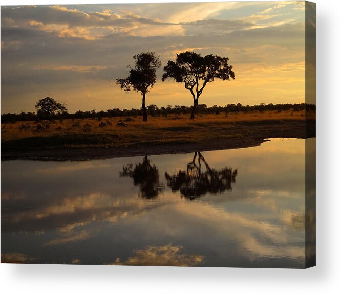 100324 Botswana & Zimbabwe Expeditions Acrylic Print featuring the photograph Sunrise over Savuti Park by Gregory Daley MPSA