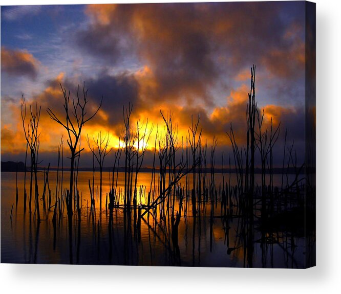 Sunrise Acrylic Print featuring the photograph Sunrise by Raymond Salani III