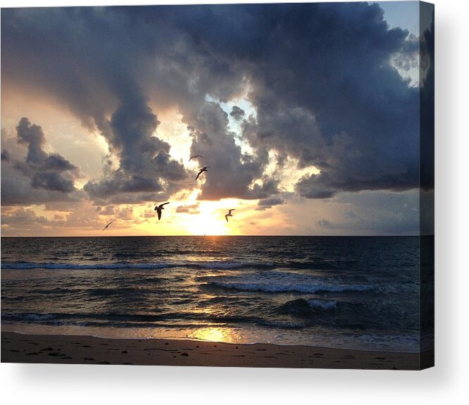 Sunrise Acrylic Print featuring the photograph Sunrise Seagulls by Barbara Von Pagel