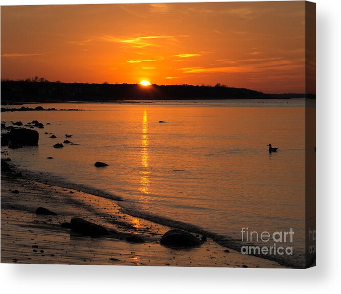 Duck Acrylic Print featuring the photograph Sunset Over Brewster Flats by Sue Zamecnik