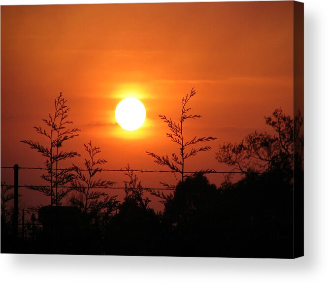 Sunset Acrylic Print featuring the photograph Sunset by Paulo Goncalves