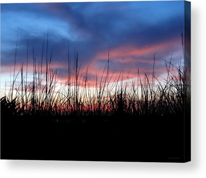Sunset Reeds Acrylic Print featuring the photograph Sunset Reeds by Dark Whimsy