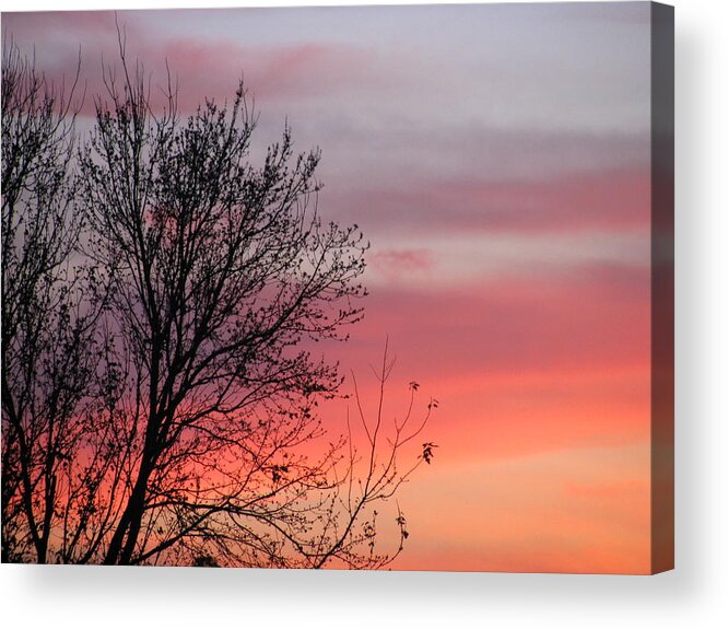 Landscape Acrylic Print featuring the photograph Sunset Silhouette by Ellen Meakin