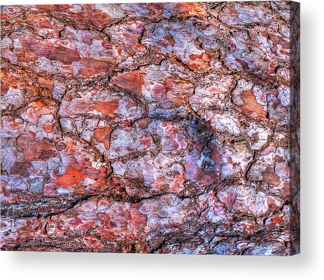 Tree Bark Acrylic Print featuring the photograph Surreal Patterned Bark 2 by Gill Billington