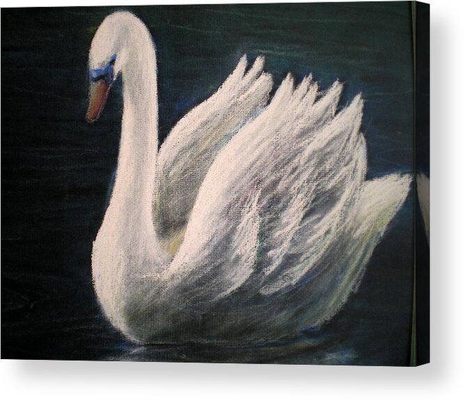 Swan Acrylic Print featuring the pastel Swan II by Nieve Andrea 