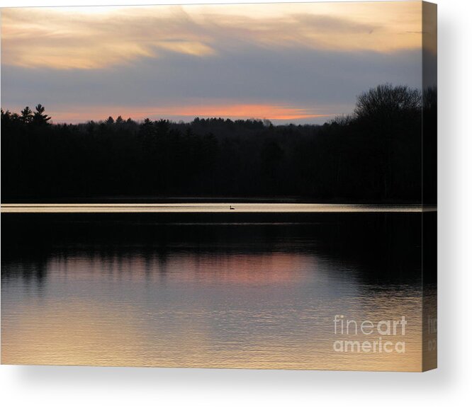 Sunset Acrylic Print featuring the photograph Swan Song by Lili Feinstein
