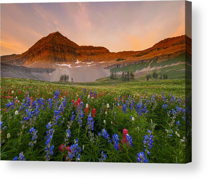 Landscape Acrylic Print featuring the photograph Sweeping Gaze by Emily Dickey