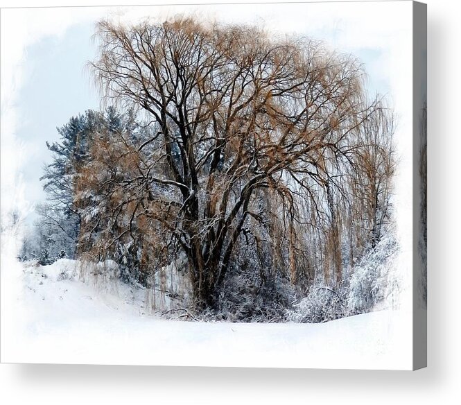 Landscape Acrylic Print featuring the photograph Tan In Winter by Marcia Lee Jones