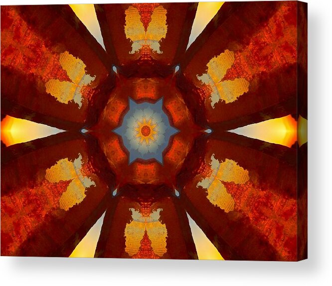  Acrylic Print featuring the digital art Tangerine Sunset Crystal Mandala by Diane Lynn Hix