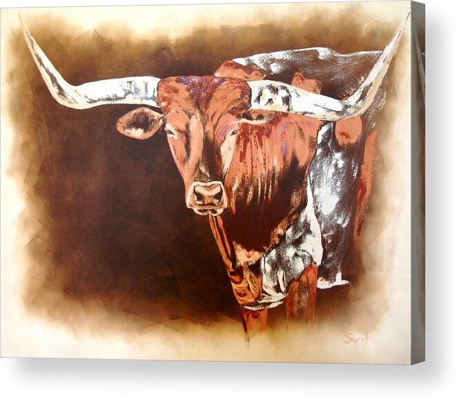 Texas Acrylic Print featuring the painting Texas Longhorn by Sunel De Lange