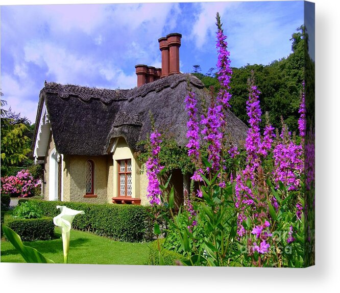 Killarney Acrylic Print featuring the photograph Thatched cottage by Joe Cashin