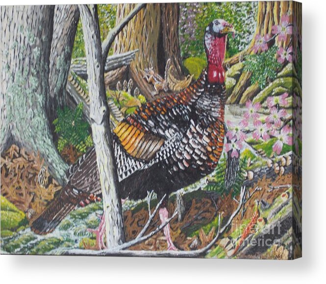 Wild Turkey Acrylic Print featuring the painting The Boss Is Coming by Carey MacDonald