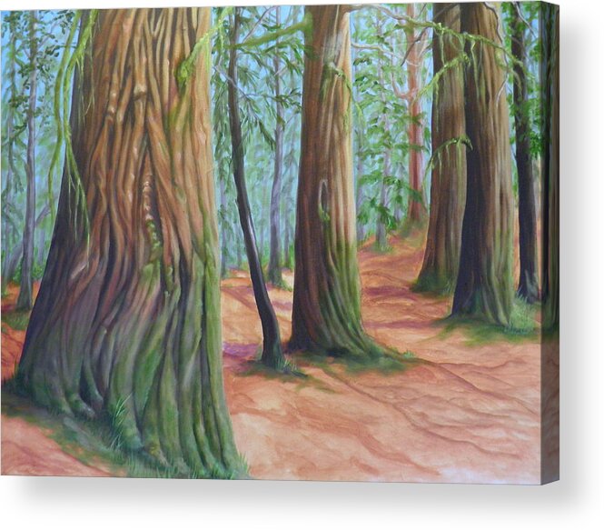Cedar Trees Fir Cottonwood Ground Light Shadow Sky Blue Green Brown Purple Branches Leaves Moss Grass Acrylic Print featuring the painting The Cedars by Ida Eriksen