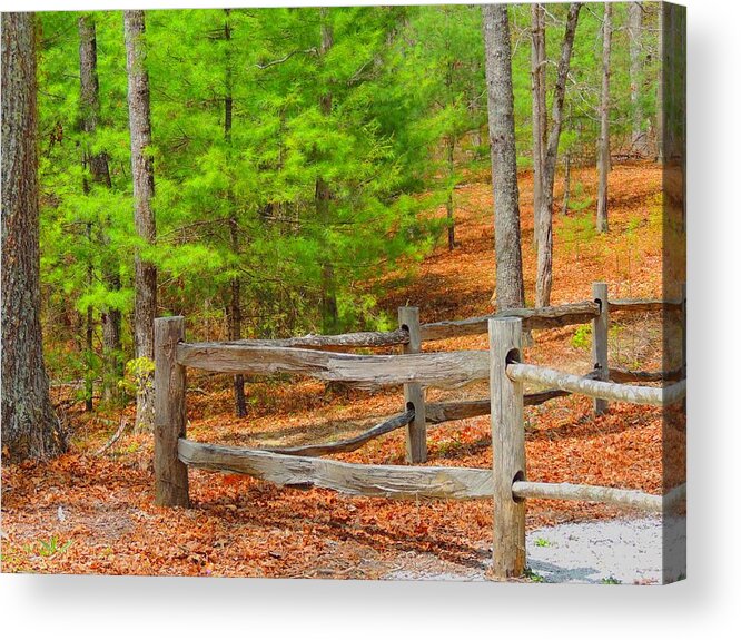 Corner Acrylic Print featuring the photograph The Corner Line by Judy Waller
