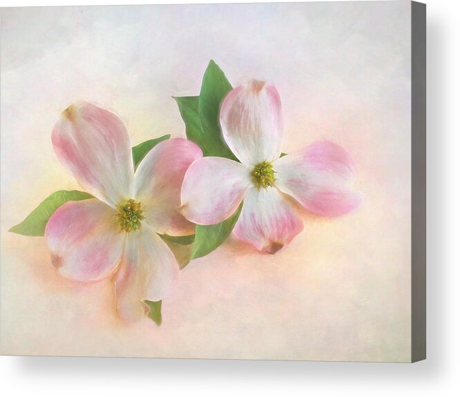 Bloom Acrylic Print featuring the photograph The Dogwood Blossom by David and Carol Kelly